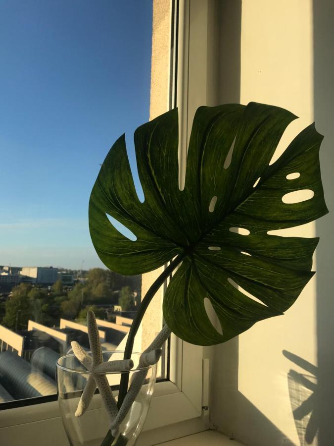 Good Morning Gdyniaアパートメント エクステリア 写真